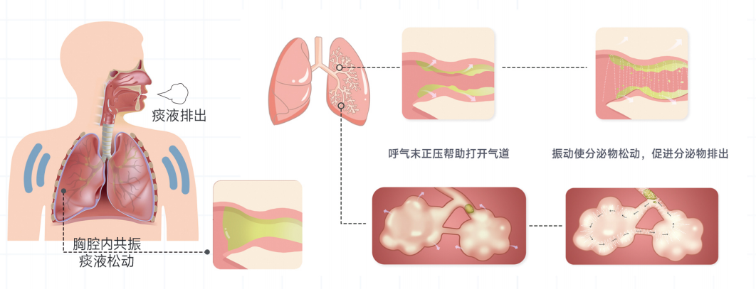 &#20048;&#40060;